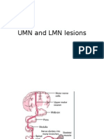 UMN and LMN Lesions