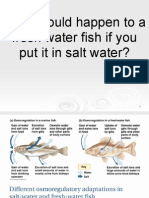 Waterpotential