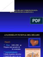 Anatomia Del Higado y Fisiopatologia Insuficiencia Hepatica