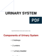 Chapt18 Urinary