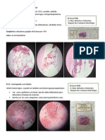 laboratorio patologia SNC y Tiroides