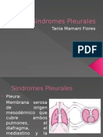 Sindromes Pleurales
