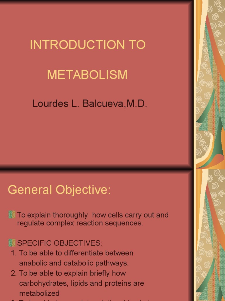 Introduction to Metabolism Overview | PDF | Metabolic Pathway | Metabolism