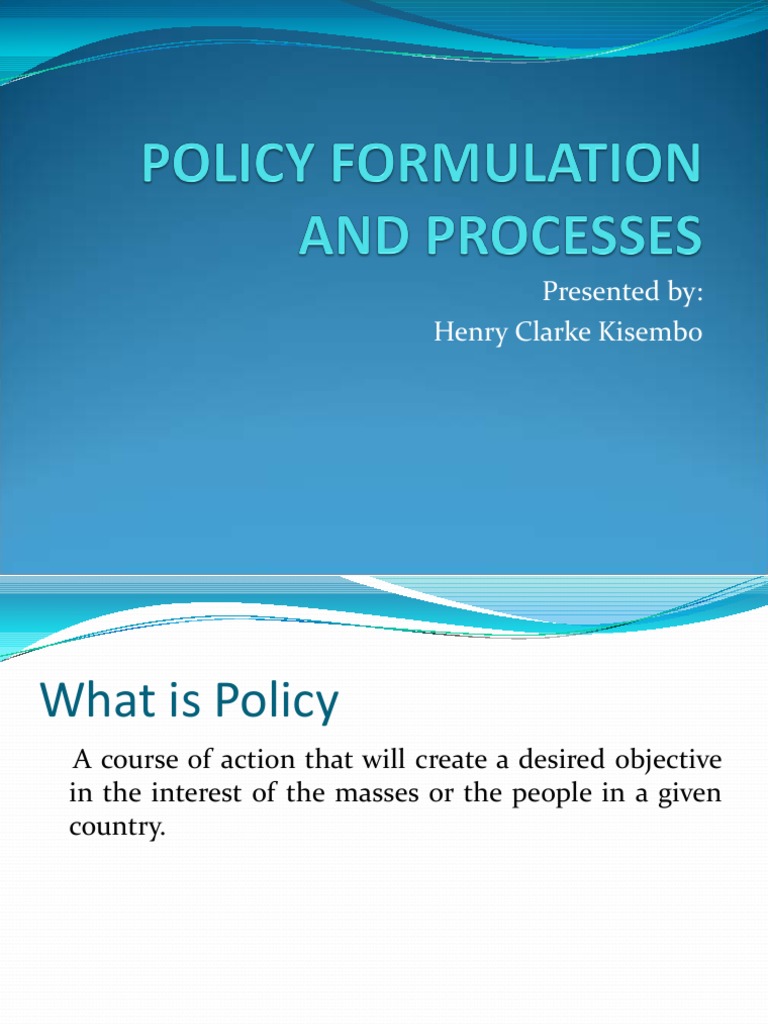 Steps in Policy Formulation Process | PDF | Policy | Poverty
