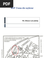 Cana de Açucar