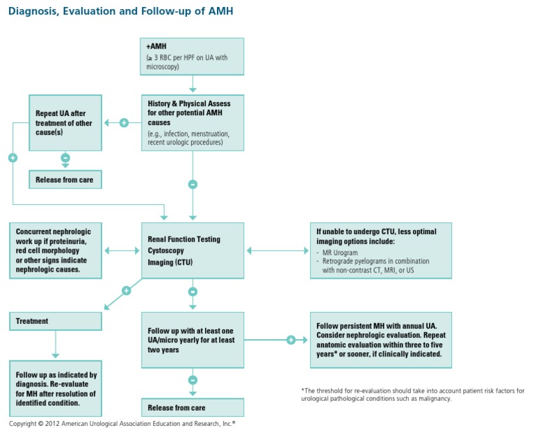 Asymptomatic Microhematuria Algorithm | PDF