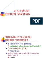Humoral & Cellular Immune Responses