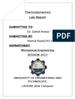 Thermodynamics Lab Report: Submitted To