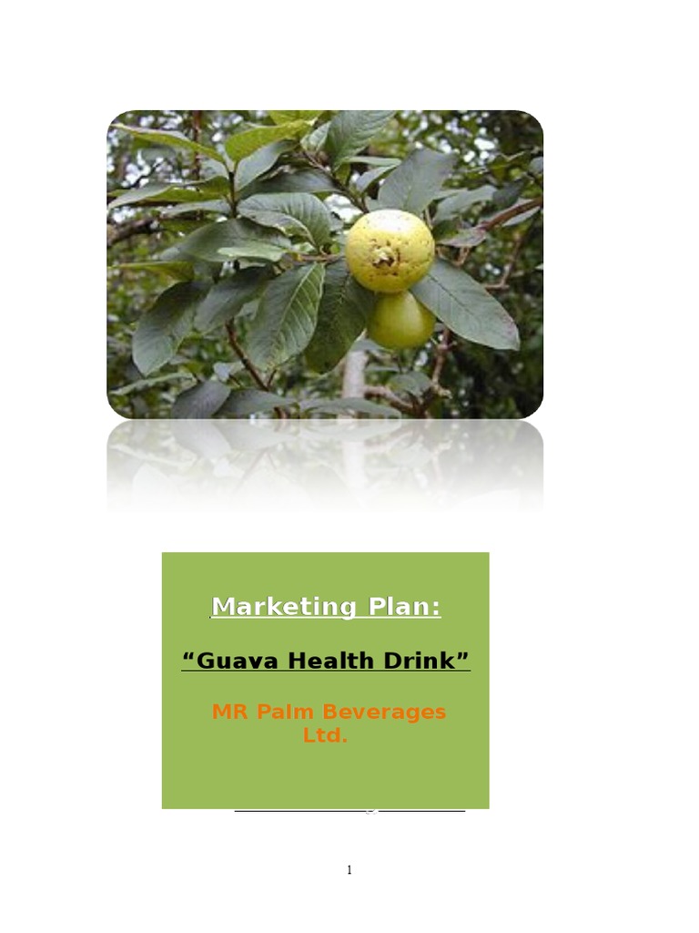 Guava Health Drink Marketing Strategy | PDF | Market Segmentation ...