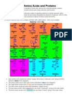 Amino Acids and Proteins