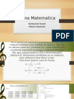 Tema Matematica