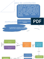 Principios de Asimilación