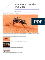 La OMS Emite Alerta Mundial Contra El Virus Zika