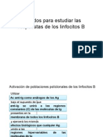 Métodos para Estudiar Las Respuestas de Los Linfocitos