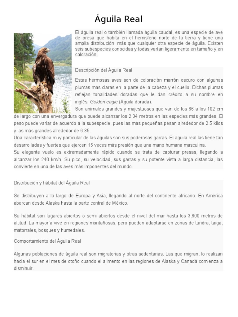 Aguila Real | PDF | Águila | Oso grizzly