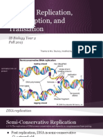 2.7 DNA Replication, Transcription, and Translation