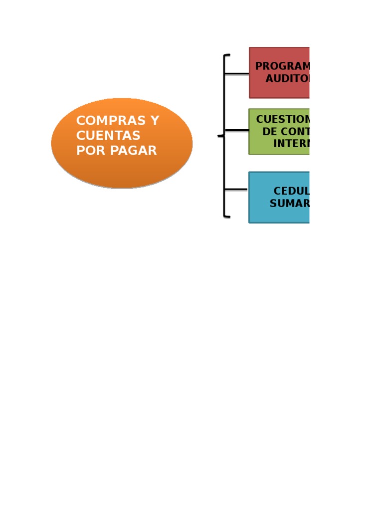 Compras y Cuentas Por Pagar | PDF | Contabilidad | Impuestos
