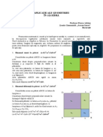 13-FloreaAdrian-Aplicatii Ale Geometriei in Algebra