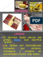 2015 Estructura de Lípidos PDF