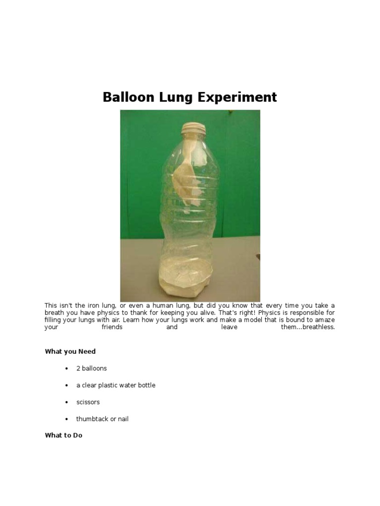 Balloon Lung Experiment PDF Balloon Gases