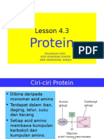 Lesson 4.3: Protein