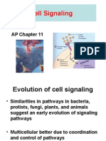 AP Chap 11 Cell Signaling