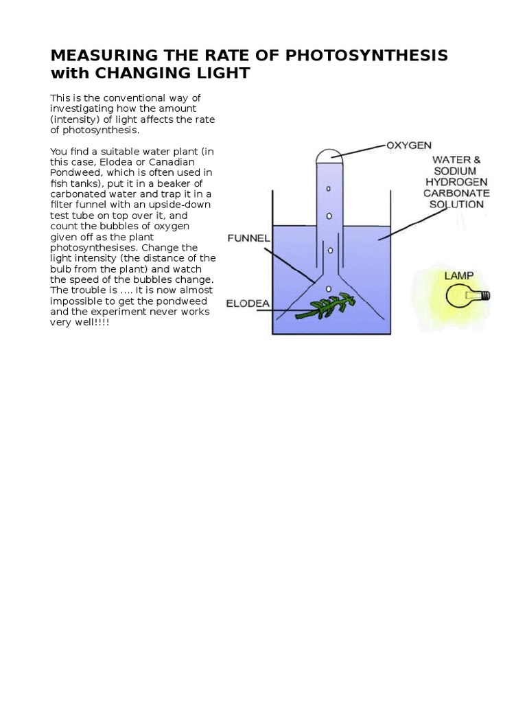 Measuring the Rate of Photosynthesis Photosynthesis Water