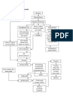 Patofisiologi Aterosklerosis