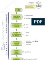 Respuesta Inflamatoria