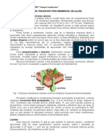 4 Transport Membranar MG