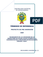 TdR Mejoramiento de La Capacidad Productiva Desaguadero