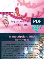 Nucleic Acids - Janella Jane Ilag