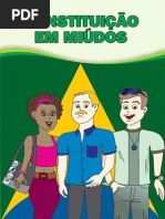 Constituicao Em Miudos