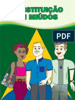 Constituicao em Miudos