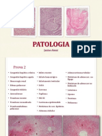 Patologia Básica