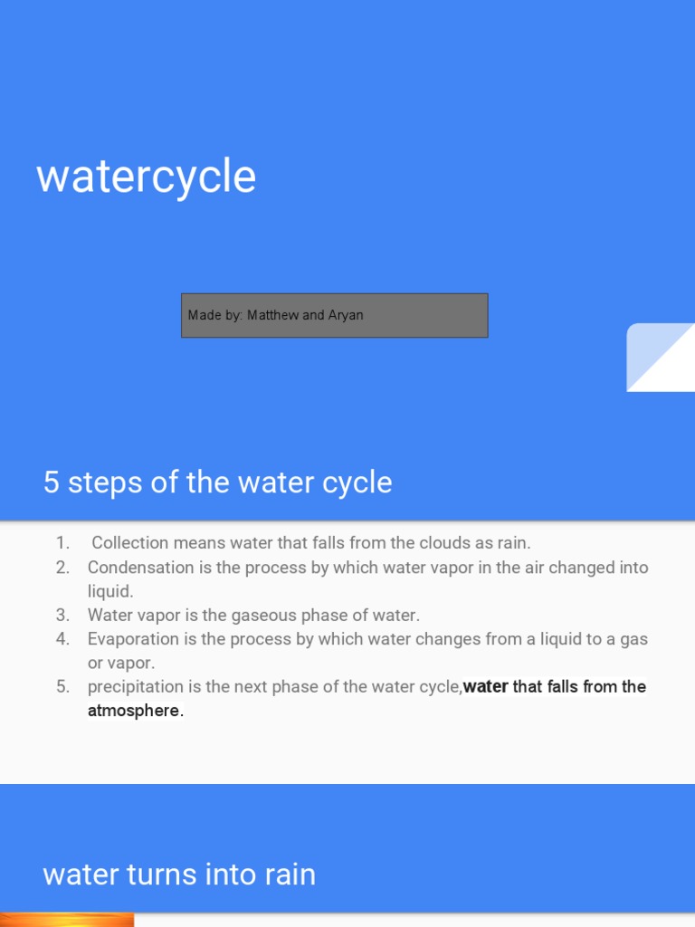 Understanding the Water Cycle Steps | PDF | Social Science