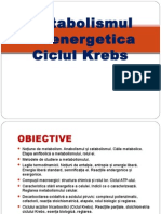 Metabolismul 1ciclu-Krebs