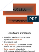 Biologie Clasa XII_Cromozomii_ppt