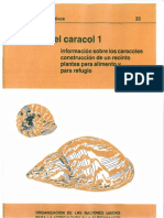 33_La Cria Del Caracol