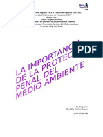 LA IMPORTANCIA DE LA PROTECCION PENAL DEL MEDIO AMBIENTE.docx
