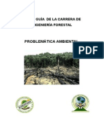 PROBLEMÁTICA AMBIENTAL FTZ