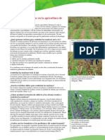 05-Malezas1 SAGARPA PDF