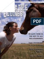 Versatile Equines Magazine