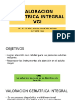 Valoracion Geriatrica Integral