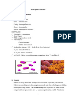 Haemophillus Influenza