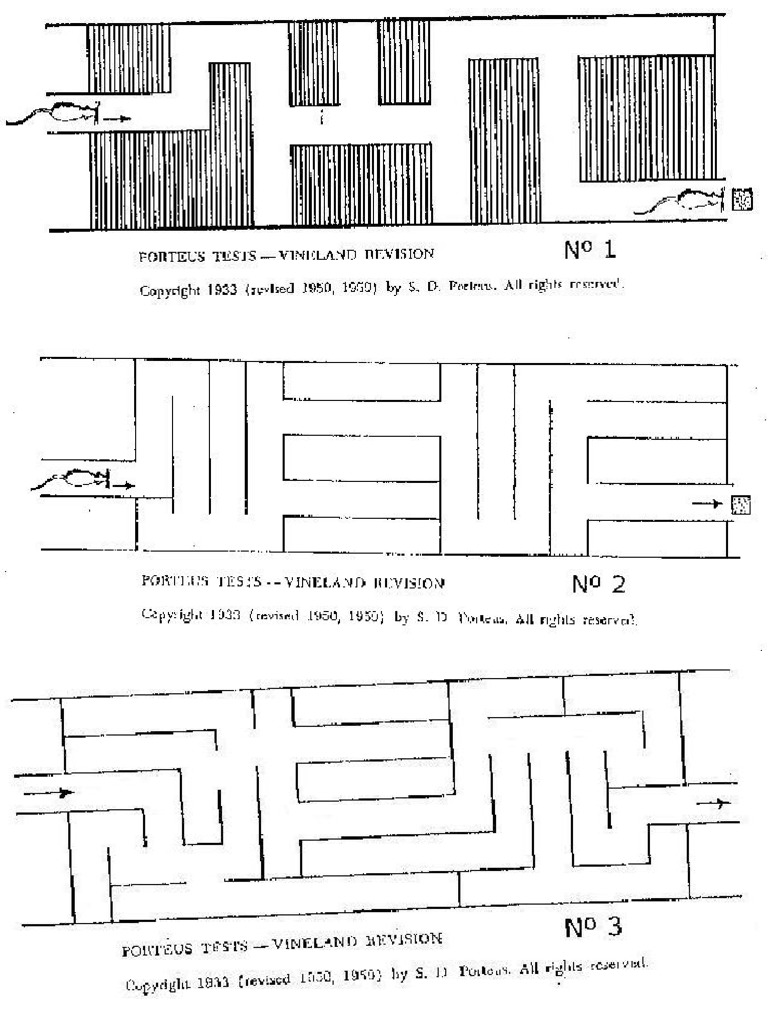 Láminas Test Laberintos de Porteus (Form. Alt. B) | PDF