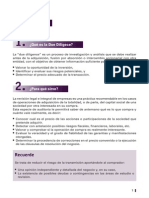 Guía para la elaboración de proyectos-DueDiligence