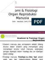 Pertemuan Ke II & III (Anatomi & Fisiologi Organ Reproduksi Manusia)