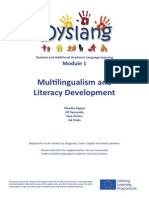 Dyslang Module 1