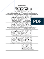 Radiologi Paru